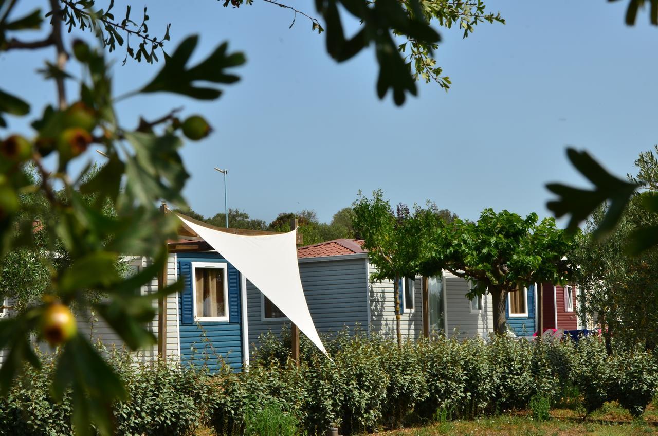 Domaine Sainte Veziane Hotell Bessan Exteriör bild